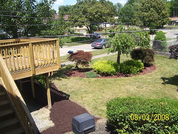 gorgeous backyard