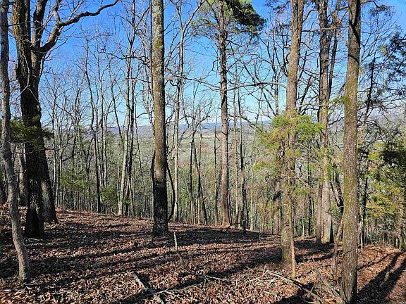 2nd image of 599 Rocking T Dr