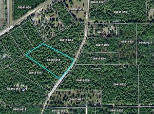 13129 Stricklands Bridge Rd, Perry, FL 32348