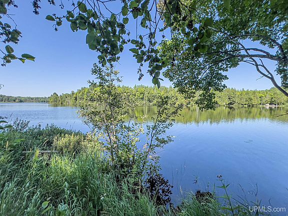 4th image of Tbd Chaney Lake Rd