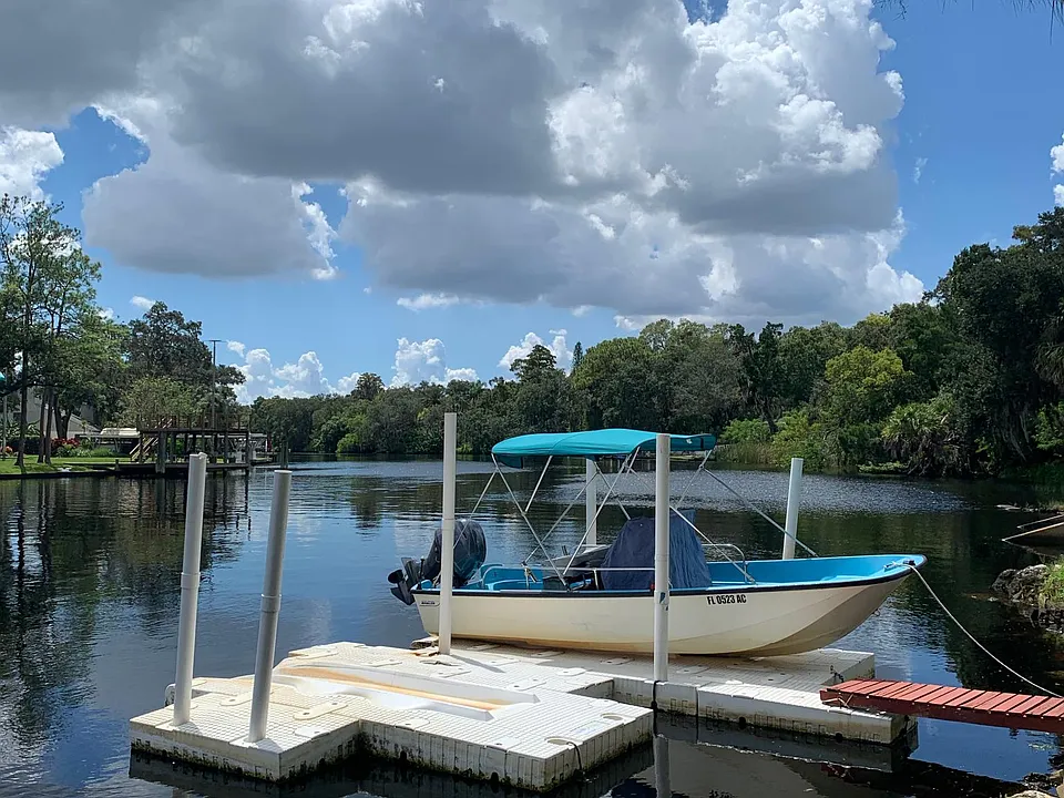Fish of the dock.