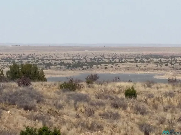 LOT 66 W Campground Ln, Fort Sumner, NM 88119