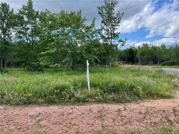 5 Fawcett Ave Lot 21, Petitcodiac, NB E4Z 4H3