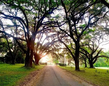 Vacant Nw Rolling Hills Dr, Madison, FL, 32340