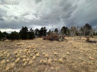 729 Deerview Dr, Florissant, CO 80816