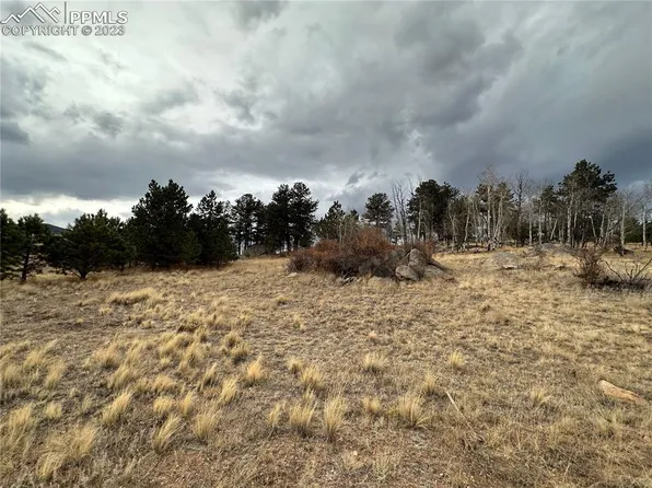 729 Deerview Dr, Florissant, CO 80816