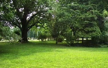 yard