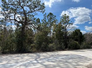12270 Peaceful Ave Lot 4, Brooksville, FL 34614