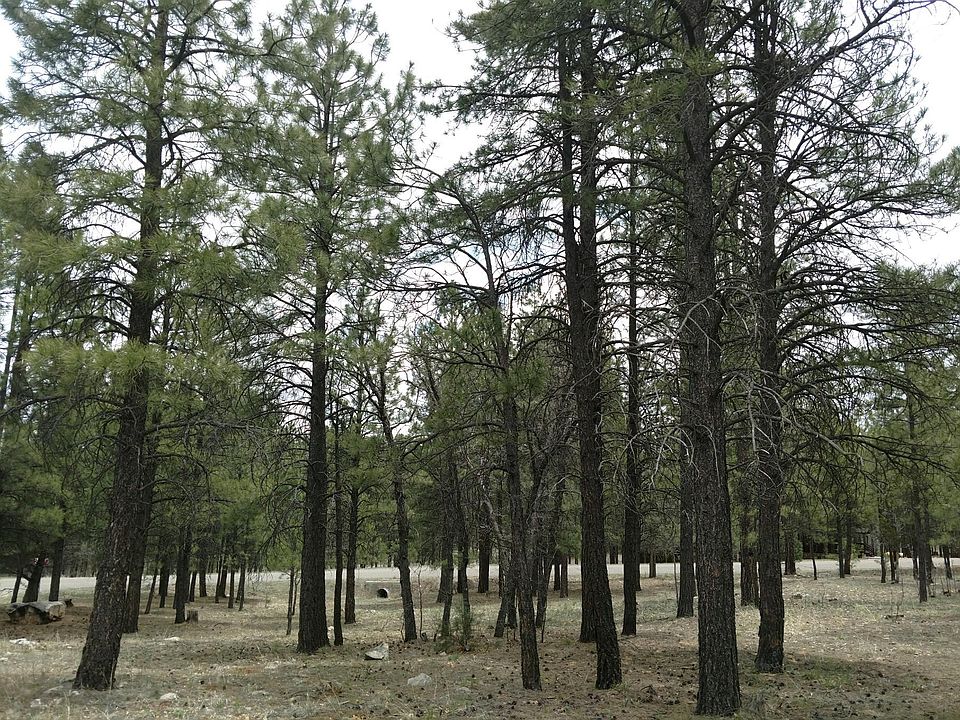 1st image of 2638 Hopi Dr