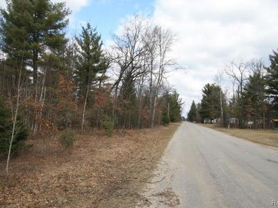 V/l S Brodie Rd, South Branch, MI, 48761