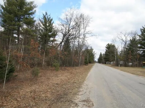 V/l S Brodie Rd, South Branch, MI 48761