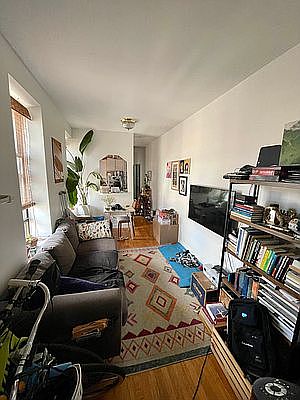 2nd image of 261 Broome St APT 6D