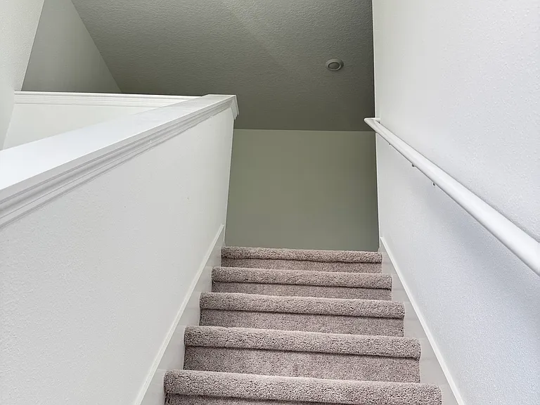 11877 Noble Chase Path — Photo 14