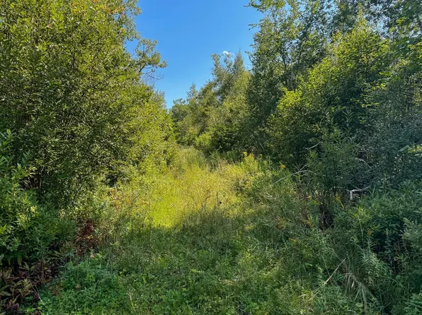 Butternut Dr, Alderson, WV 24910