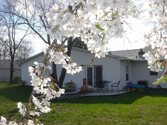 View of backyard patio from Weeping Cherry Tree
