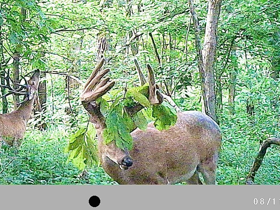 1st image of 1575 Fair City Rd