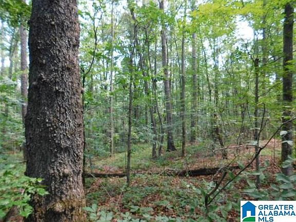 5th image of 4.43 Acres Hwy #48