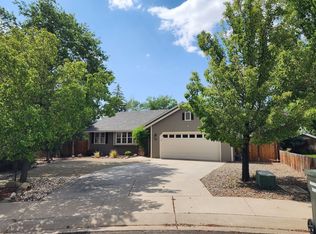 1294 Saddlebronc Ct, Minden, NV 89423