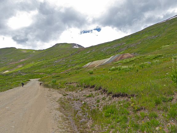 4th image of 11678 California Gulch Road