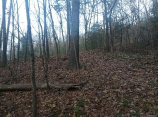 Off Conley Springs Rd, Clyde, NC 28721