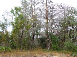 Filson St, Weeki wachee, FL 34613