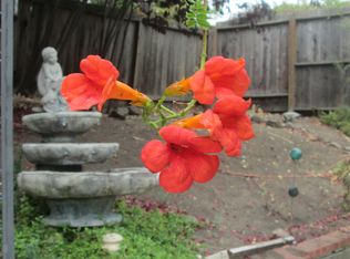 719 Charlton Dr, Pleasant Hill, CA