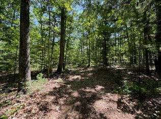 Lost Cabin Rd, Hot Springs, VA 24445