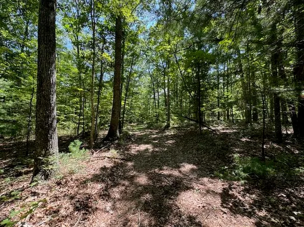 Lost Cabin Rd, Hot Springs, VA 24445