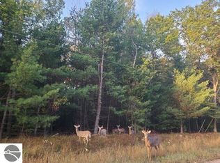 0 Buffalo Trl #36, Alger, MI 48610