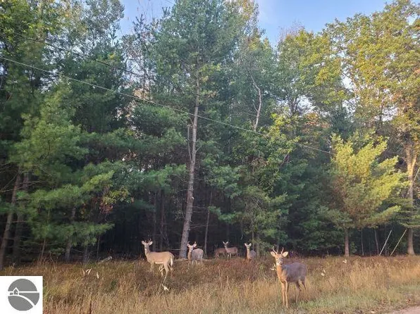 0 Buffalo Trl #36, Alger, MI 48610