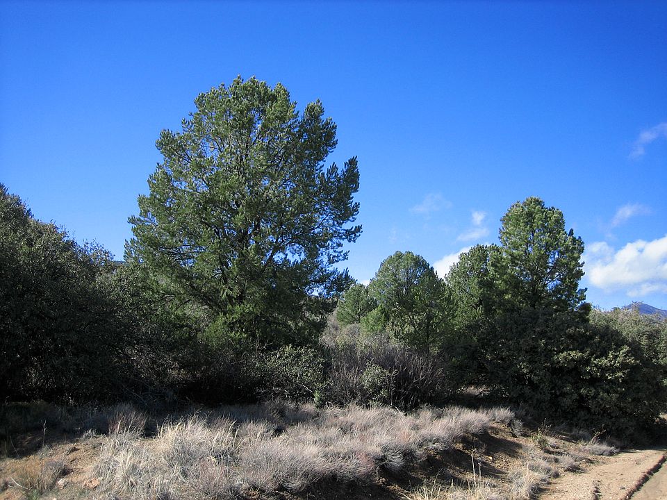 1st image of 17734 S. Tawny Lane #Lot # 33