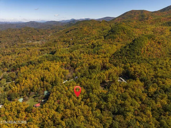 S Highway 32 Lot 1, Cosby, TN 37722