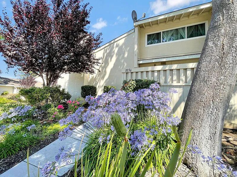 3 bed, 2.0 bath, 1470 sqft, $4,495 — Photo 2