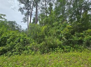 320 Sequoia Dr Lot 43, Ocklawaha, FL 32179