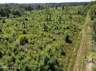 0 E Doc Clark Rd, Morton, MS 39117