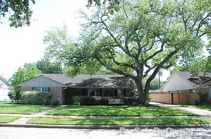 Large mature oak in the front yard.