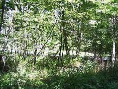 1st image of 232 Woodland Dr