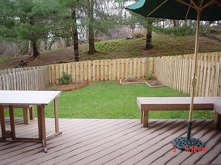Back yard