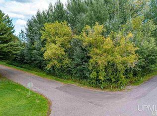 A Adelaide St, Lake Linden, MI 49945