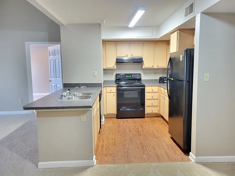 724 Bristol Village Dr #305 — Photo 4