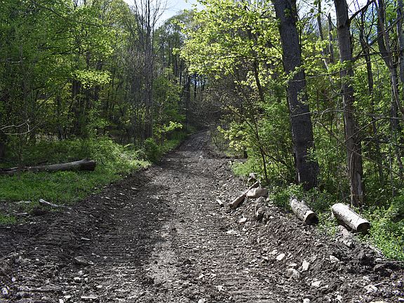 4th image of 0 Farrington Hollow Rd