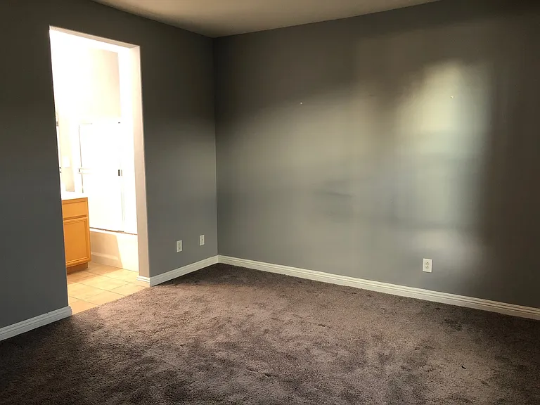 1800 E Lakeshore Dr #2607 — Photo 14