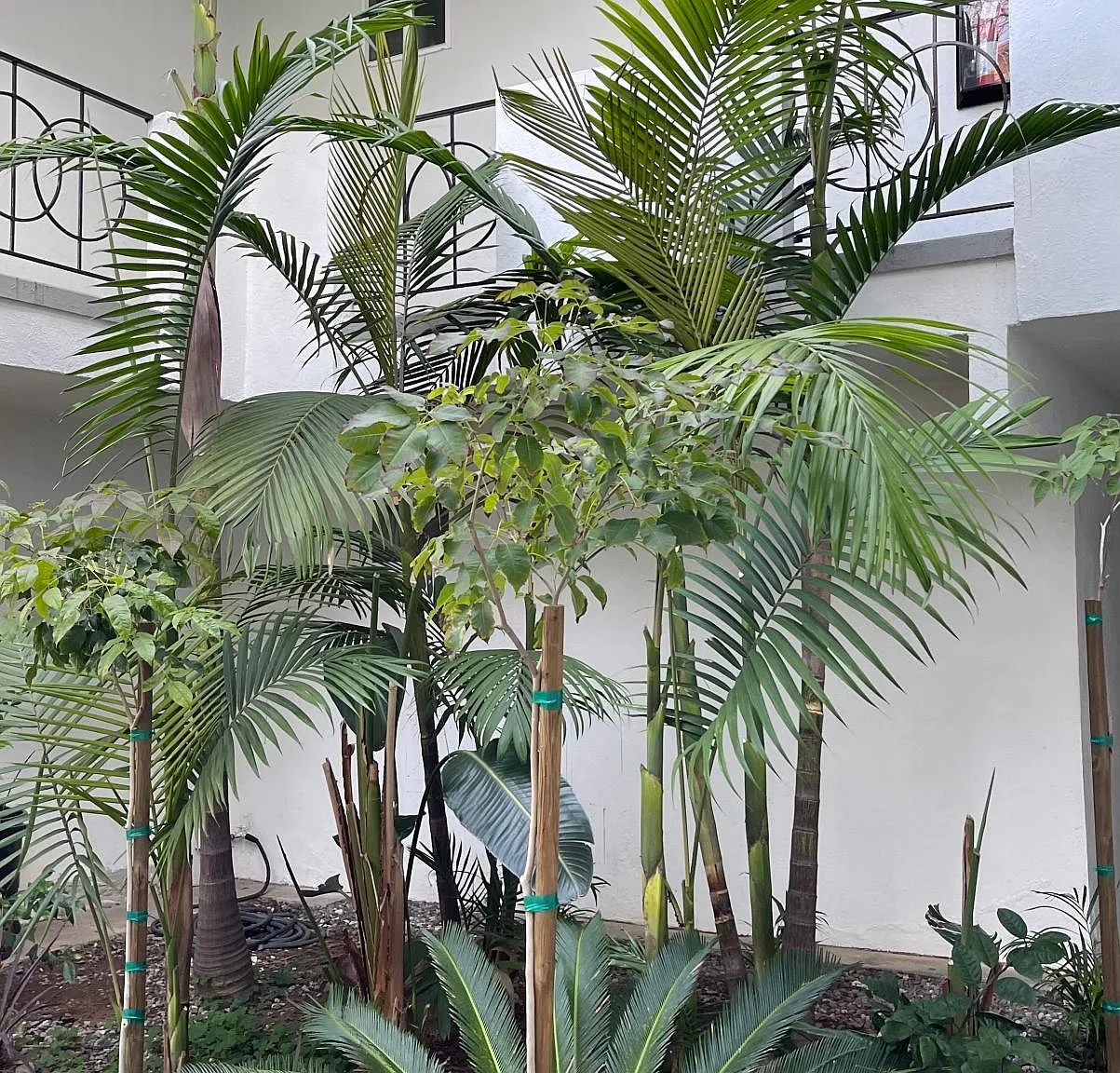 Studio, 600 sqft, $2,100 — Photo 2