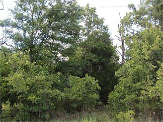 2nd image of 312 Giebel Ln