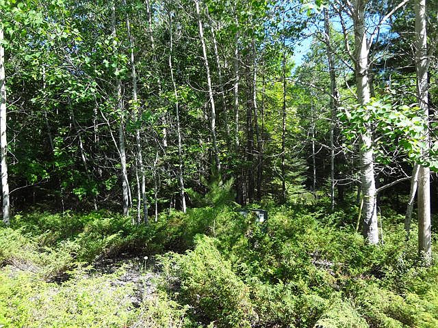 1st image of Whitesand Dr