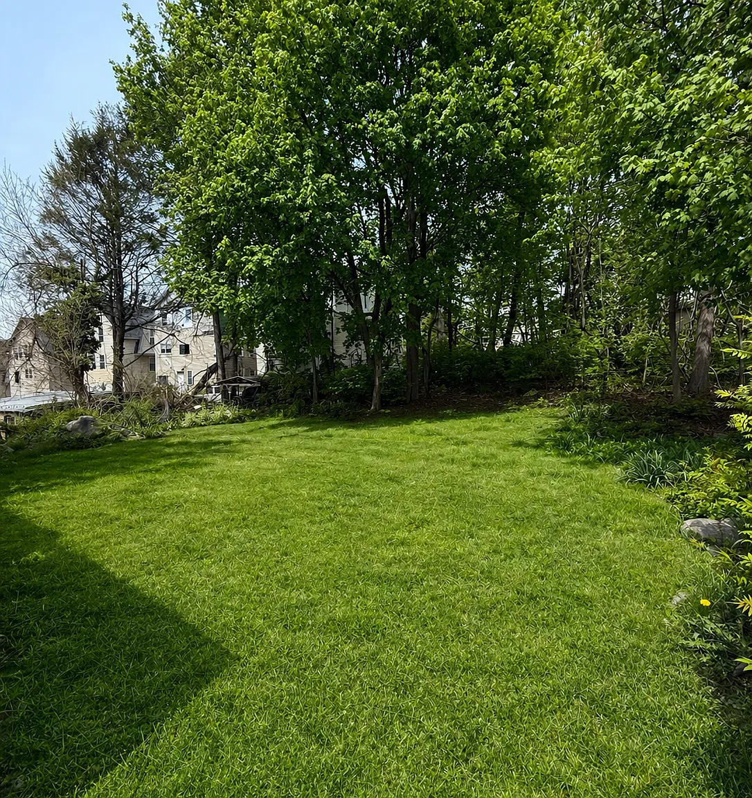 3 bed, 1100 sqft, $2,000 — Photo 2
