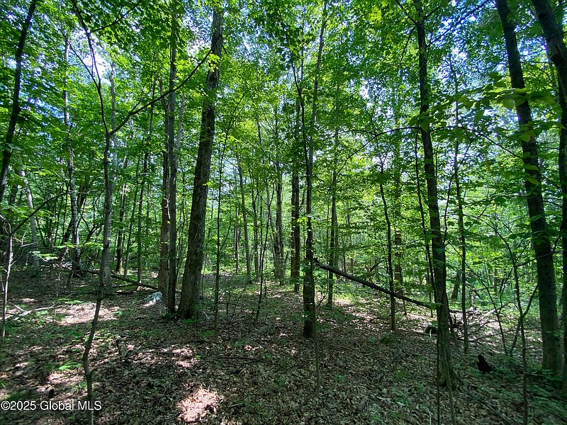 5th image of L20.44 Robinson Hollow Way