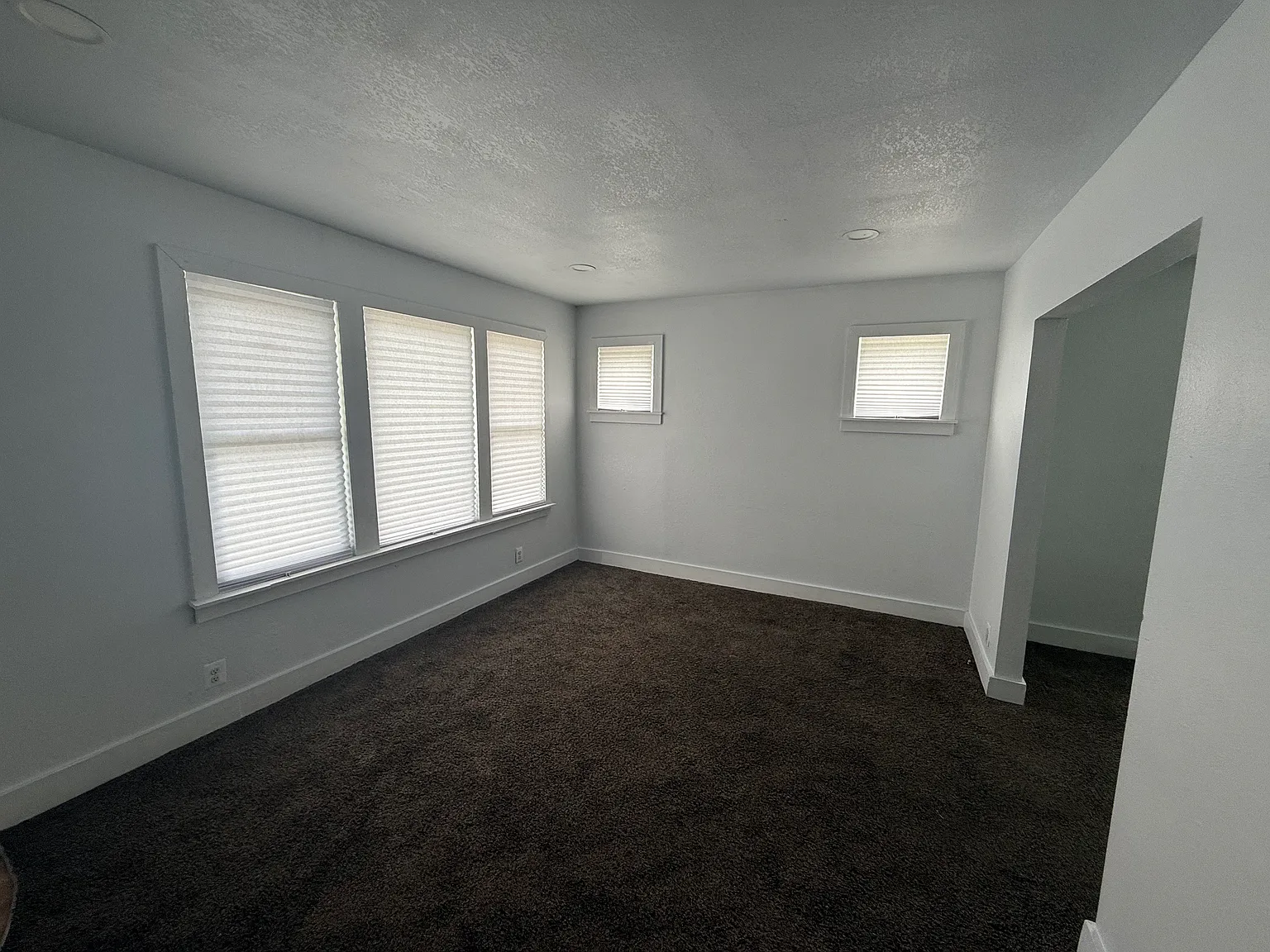 Fully Refreshed Northwest Detroit Half Flat — Photo 2