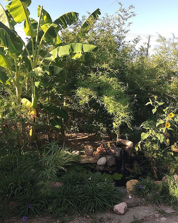 2nd image of 13801 Field Stream Ln