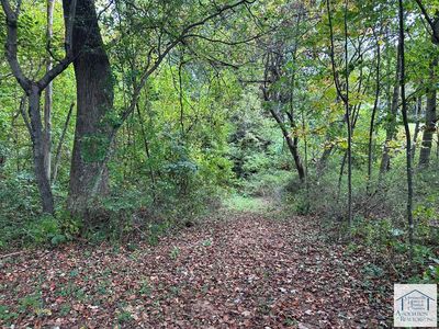 Tbd Bent Rd, Meadows Of Dan, VA, 24120